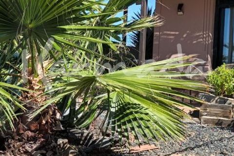 Villa a Lajares, Fuerteventura, Lajares - € 305.000 | Ref: VL00013 - foto 5